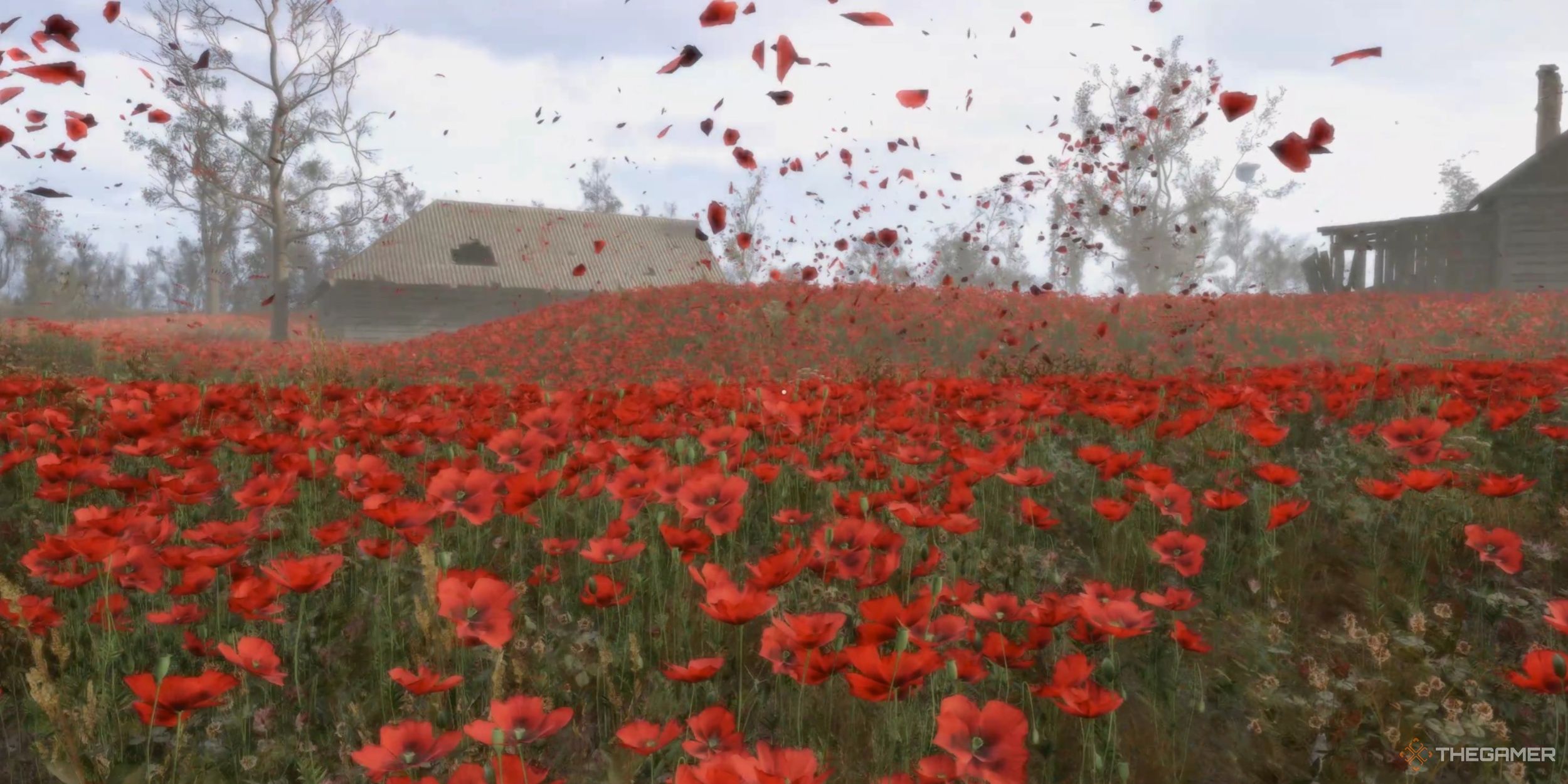 Running through the Poppy Field, looking for the Root Cellar in Stalker 2: Heart of Chornobyl.