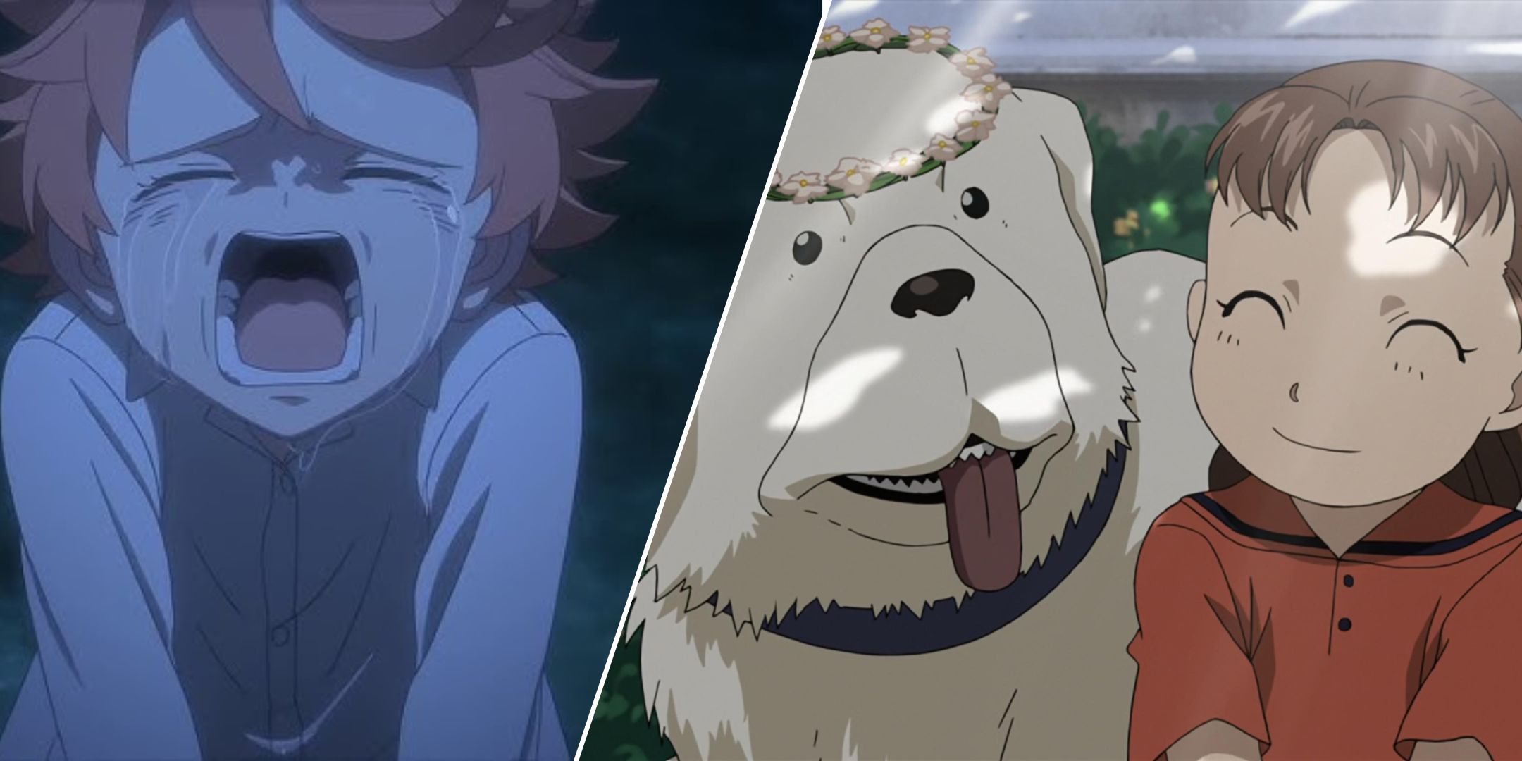 Split images of Emma from The Promised Neverland and Nina and her dog in Fullmetal Alchemist: Brotherhood.