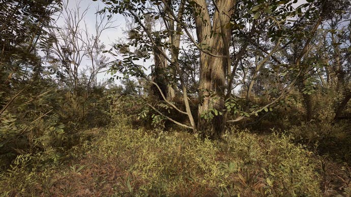 Stalker 2 PC screenshot showing the game's vegetation up close