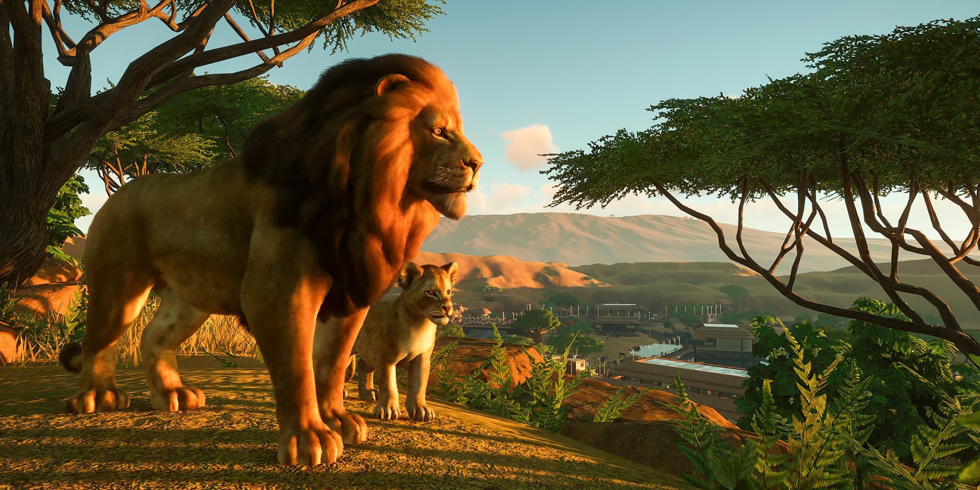 Planet Zoo screenshot of lion and cub.