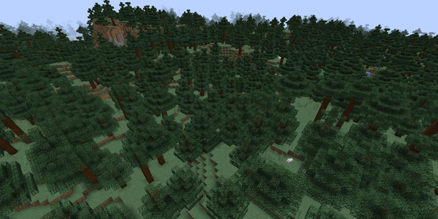 Minecraft Taiga Forest