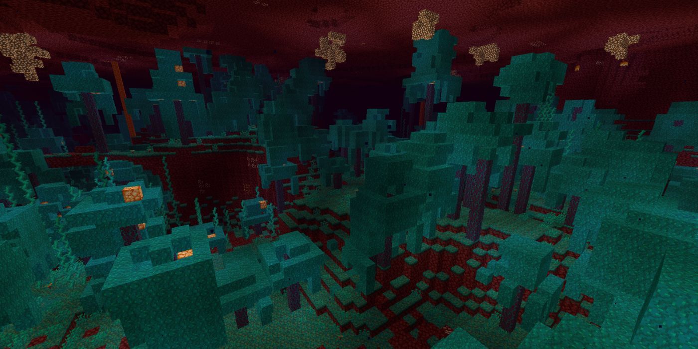 Minecraft Warped Forest Nether Biome