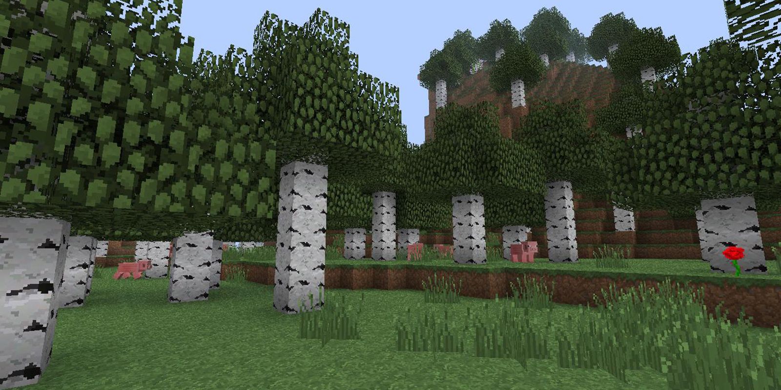 Minecraft Birch Forest