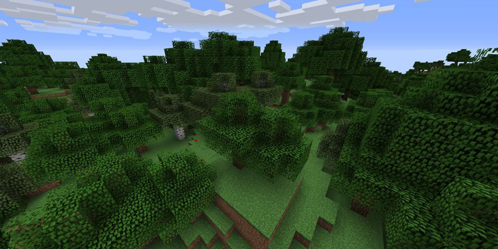 Minecraft Forest