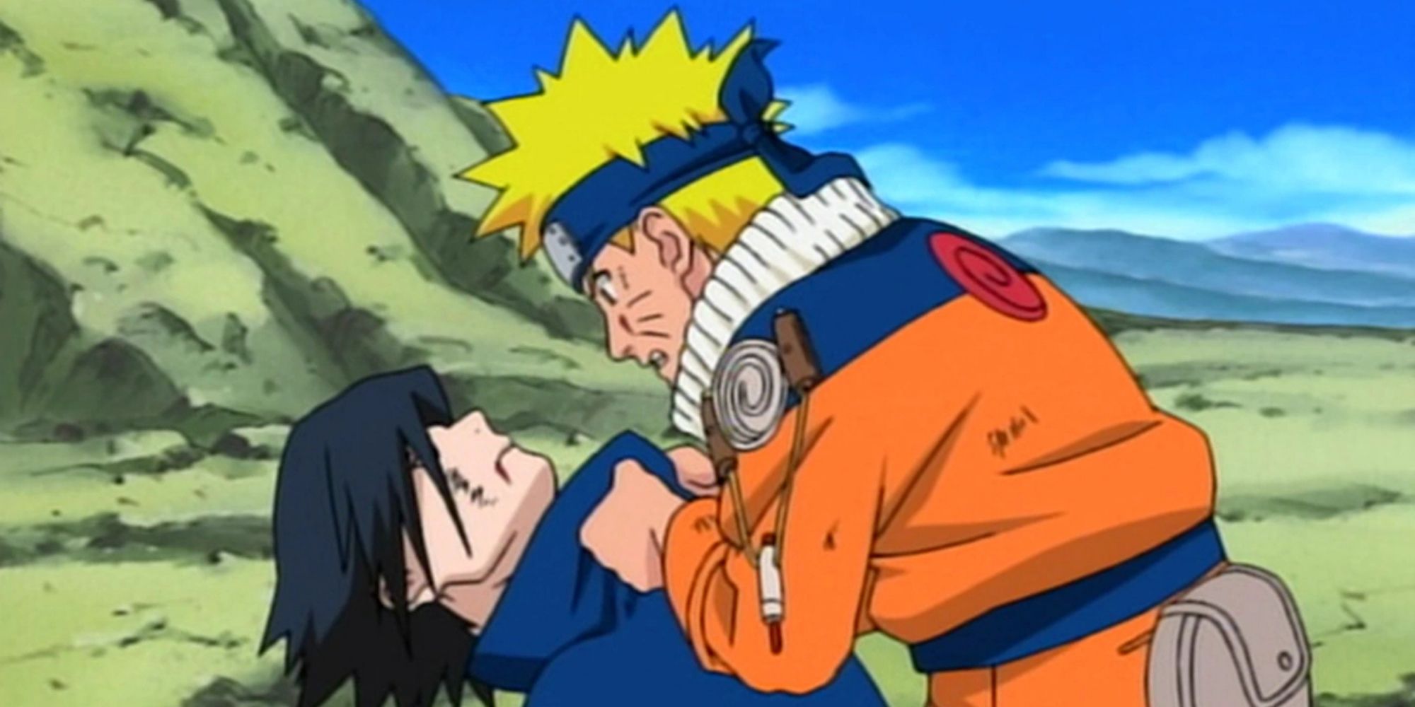 Sasuke and Naruto from Naruto