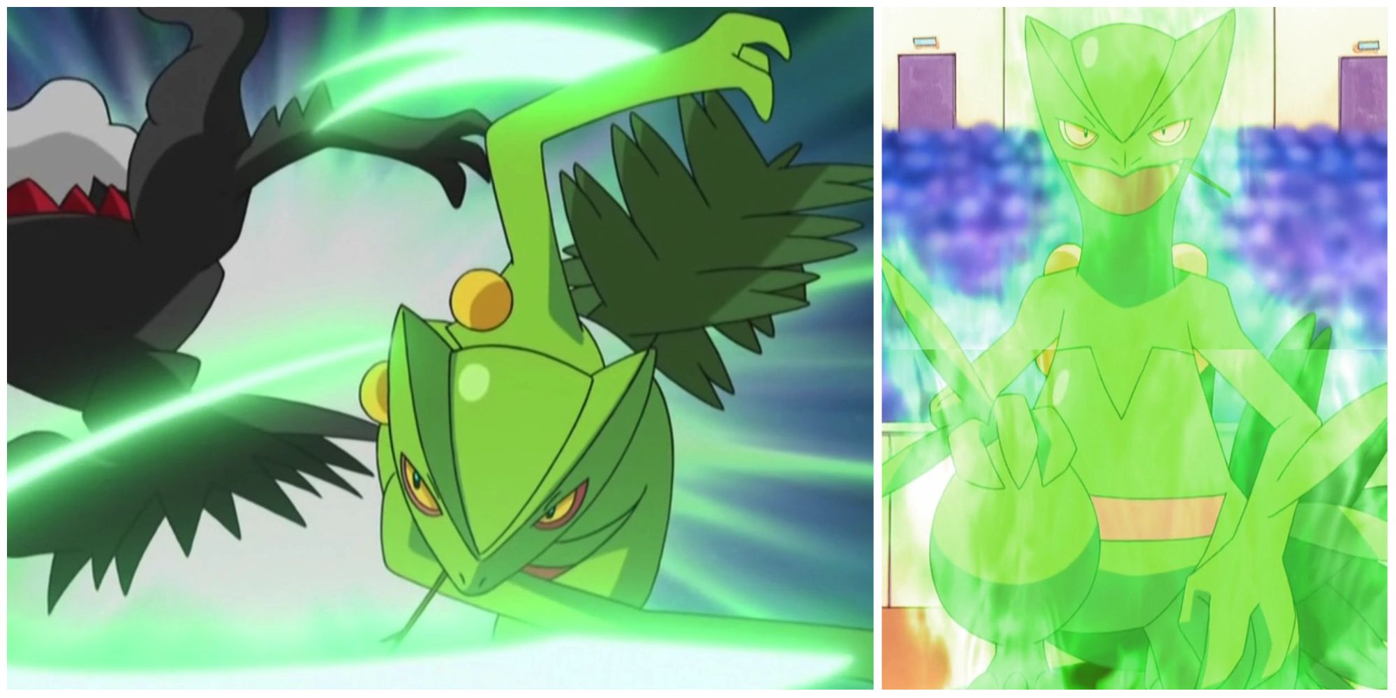 Sceptile In the Pokemon Anime