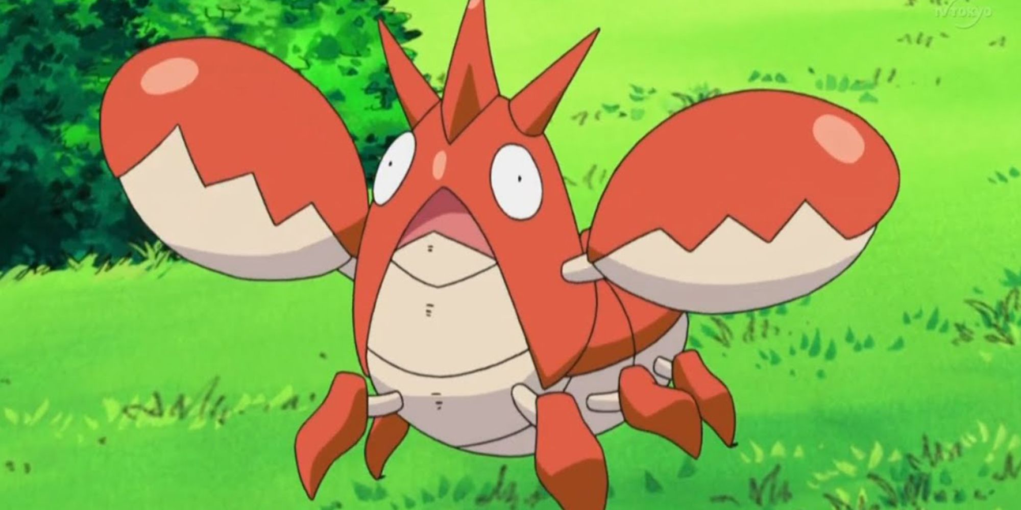 Ash's Corphish In The Pokemon Anime