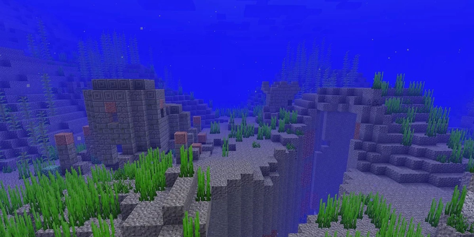 The underwater world of Minecraft.