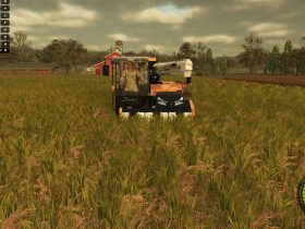 How to Plant and Harvest Rice