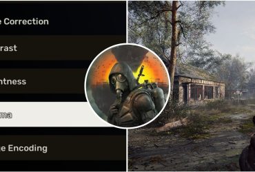 Stalker 2: Best Brightness Settings