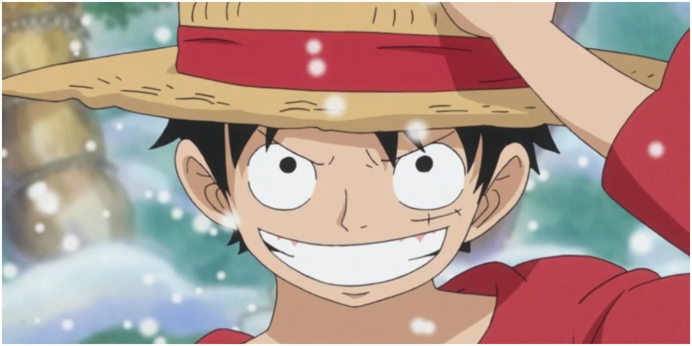 One Piece Strawhat Pirates Monkey D. Luffy