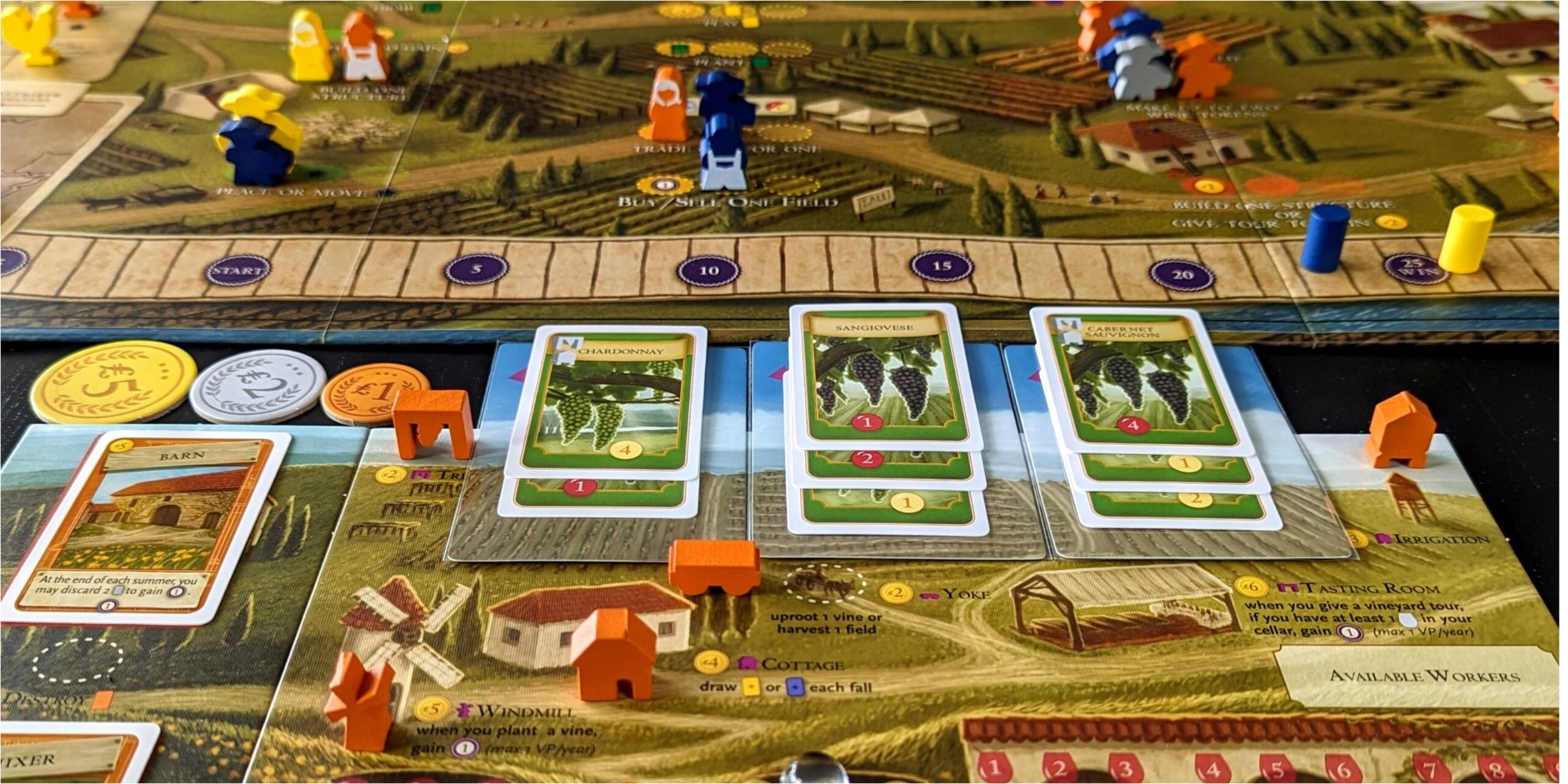 Viticulture Essential Edition Set Up