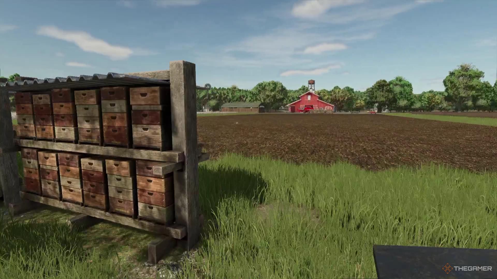 A group of beehives sit just beside a field of canola in Farming Simulator 25.