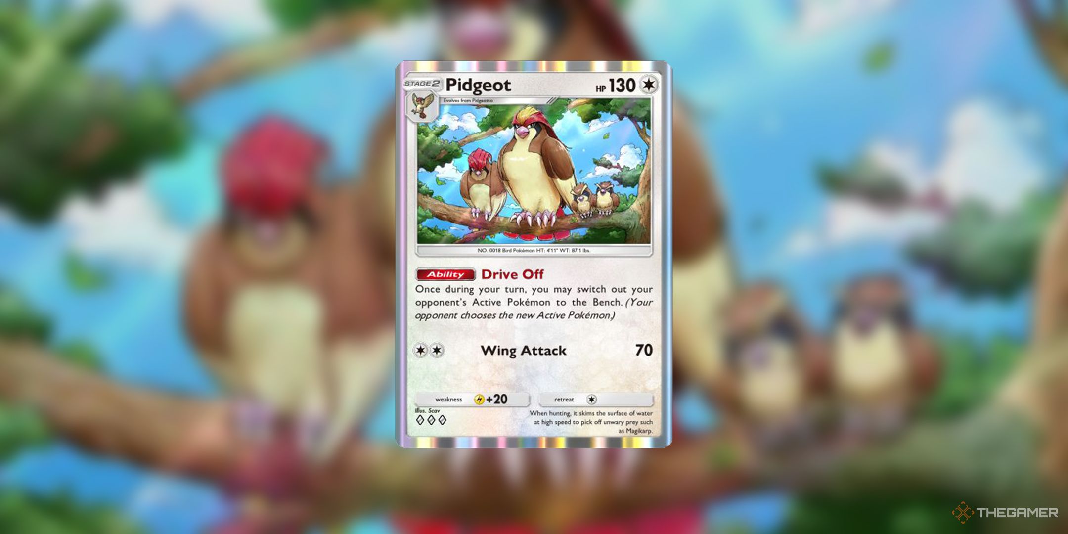 The Pidgeot card with a background of the card's art.