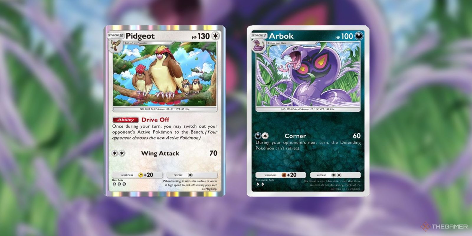 How To Build And Play An Arbok And Pidgeot Deck In Pokemon TCG Pocket