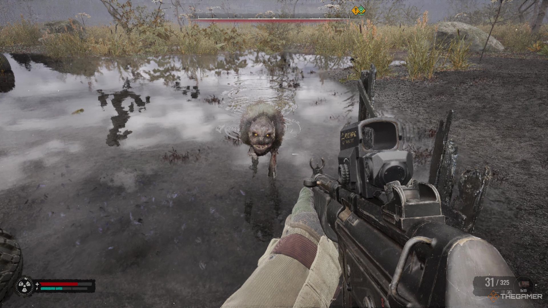 a psy dog charging the player in Stalker 2 Heart of Chornobyl.