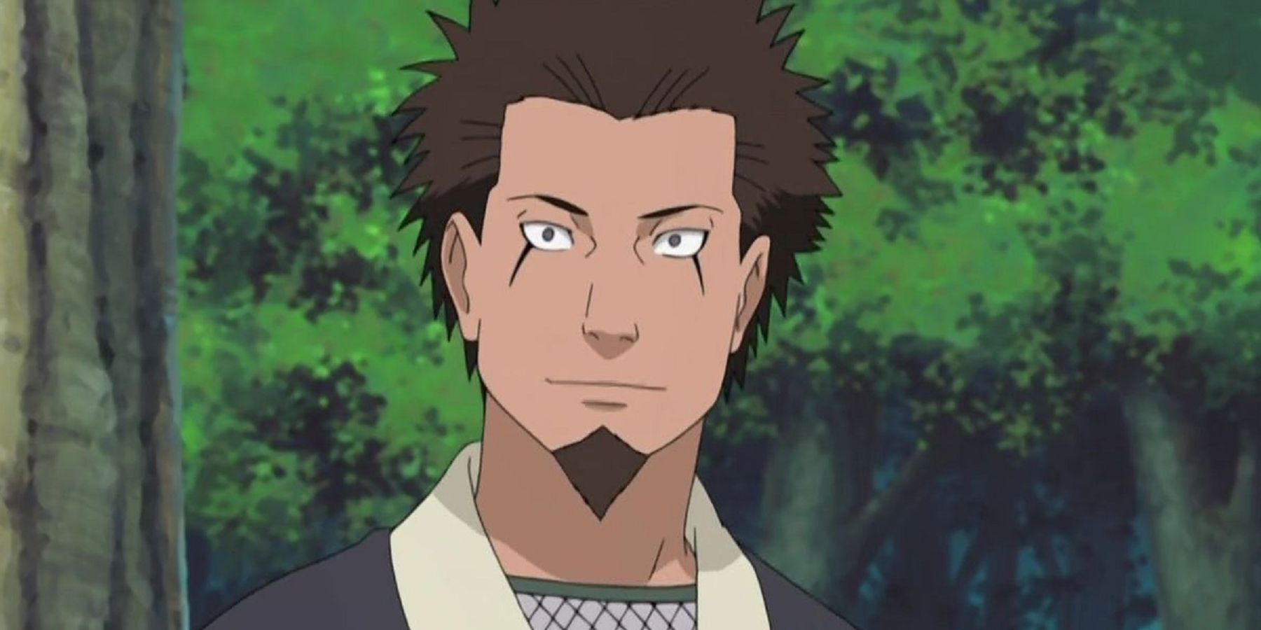 Hiruzen Sarutobi in his younger days