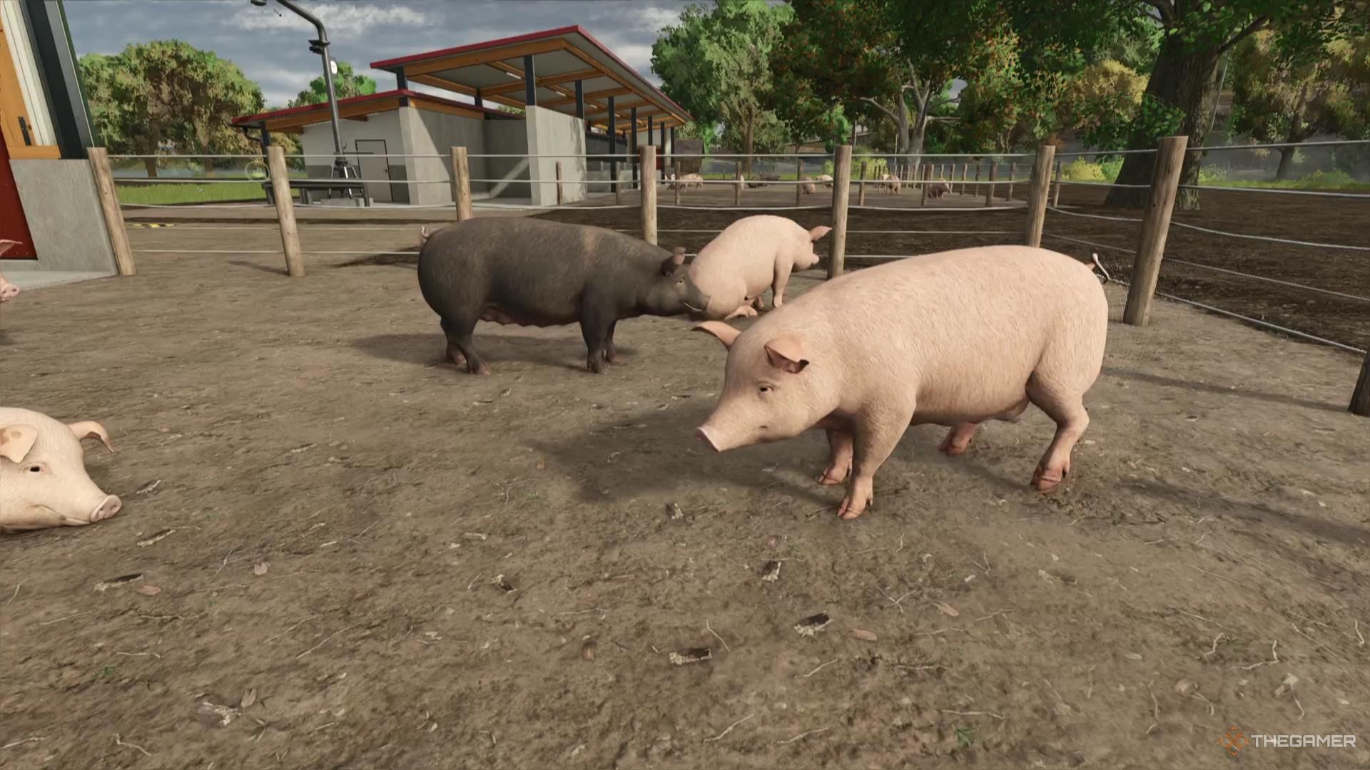 A group of pigs stand in a pigsty in Farming Simulator 25.