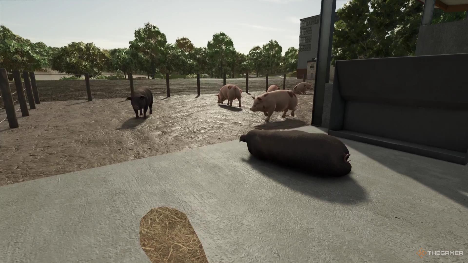 A pig rests on the ground in Farming Simulator 25.