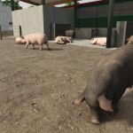 Everything You Need To Know About Pigs In Farming Simulator 25