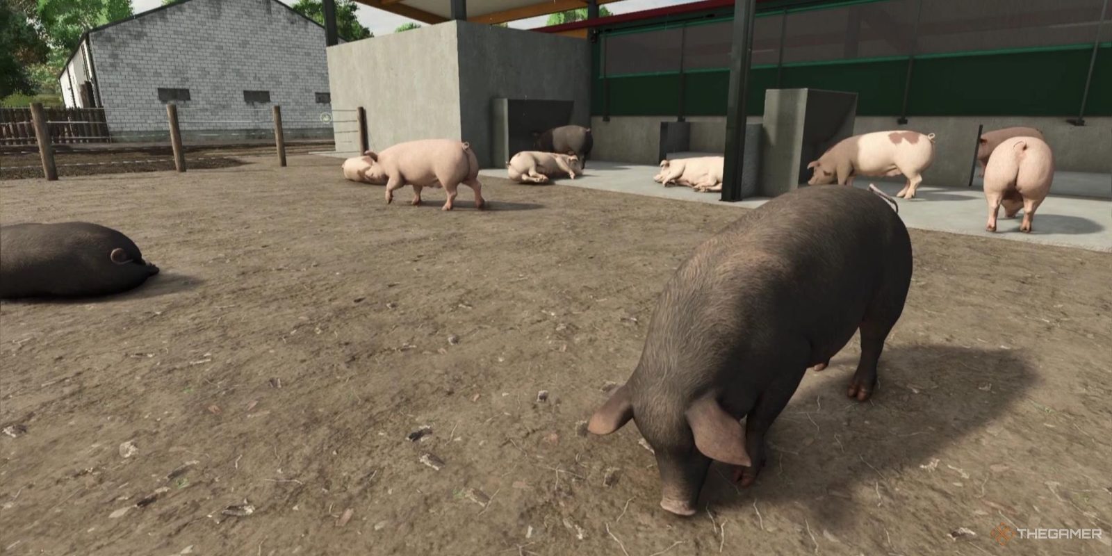 Everything You Need To Know About Pigs In Farming Simulator 25