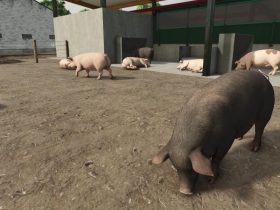 Everything You Need To Know About Pigs In Farming Simulator 25