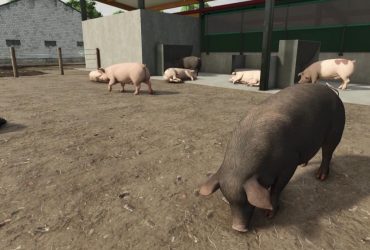 Everything You Need To Know About Pigs In Farming Simulator 25