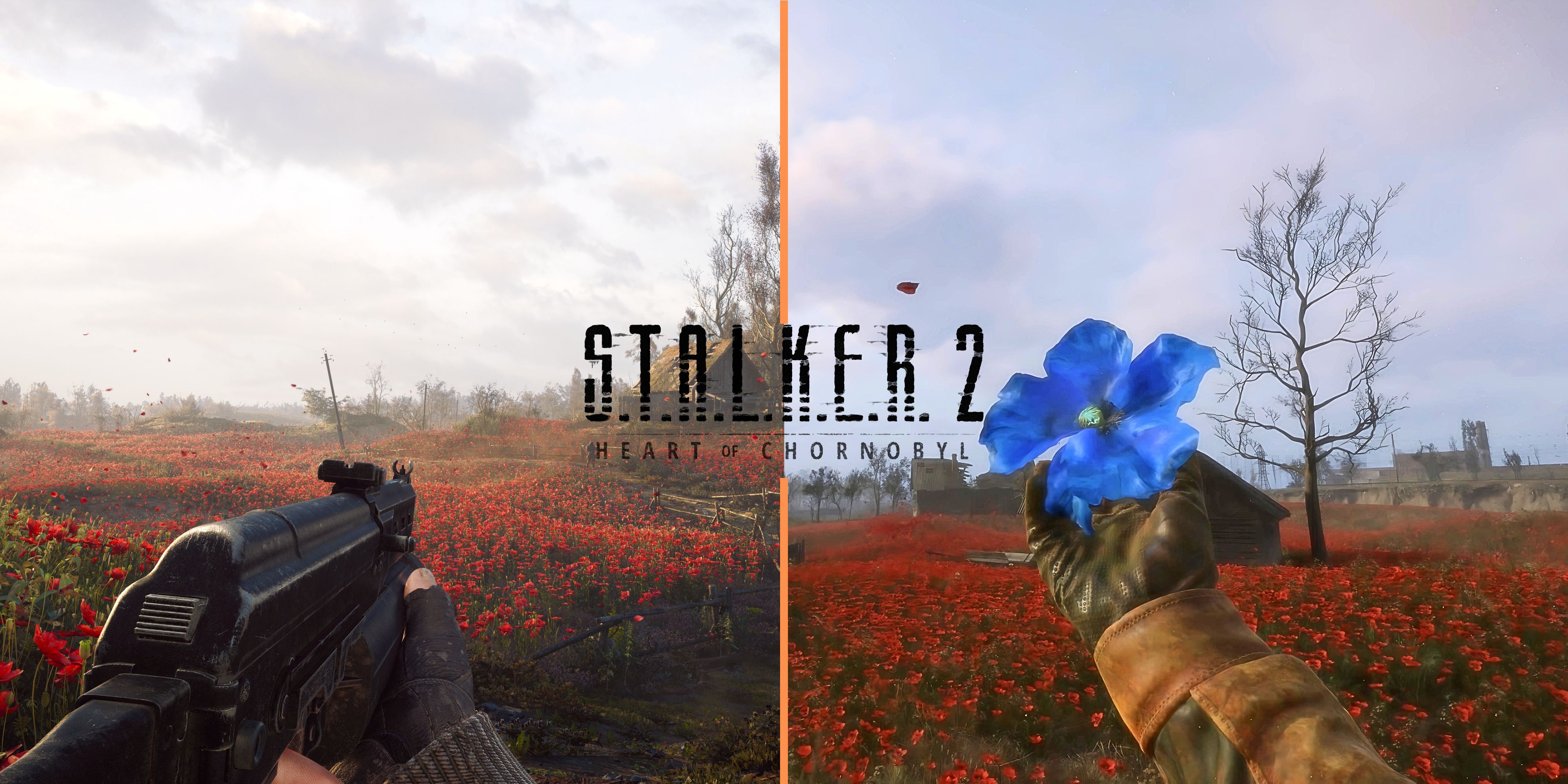 How To Get Weird Flower in Stalker 2