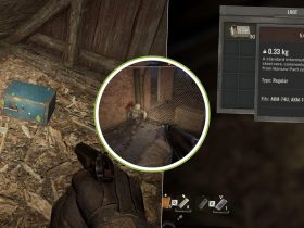 How To Find Ammo in Stalker 2