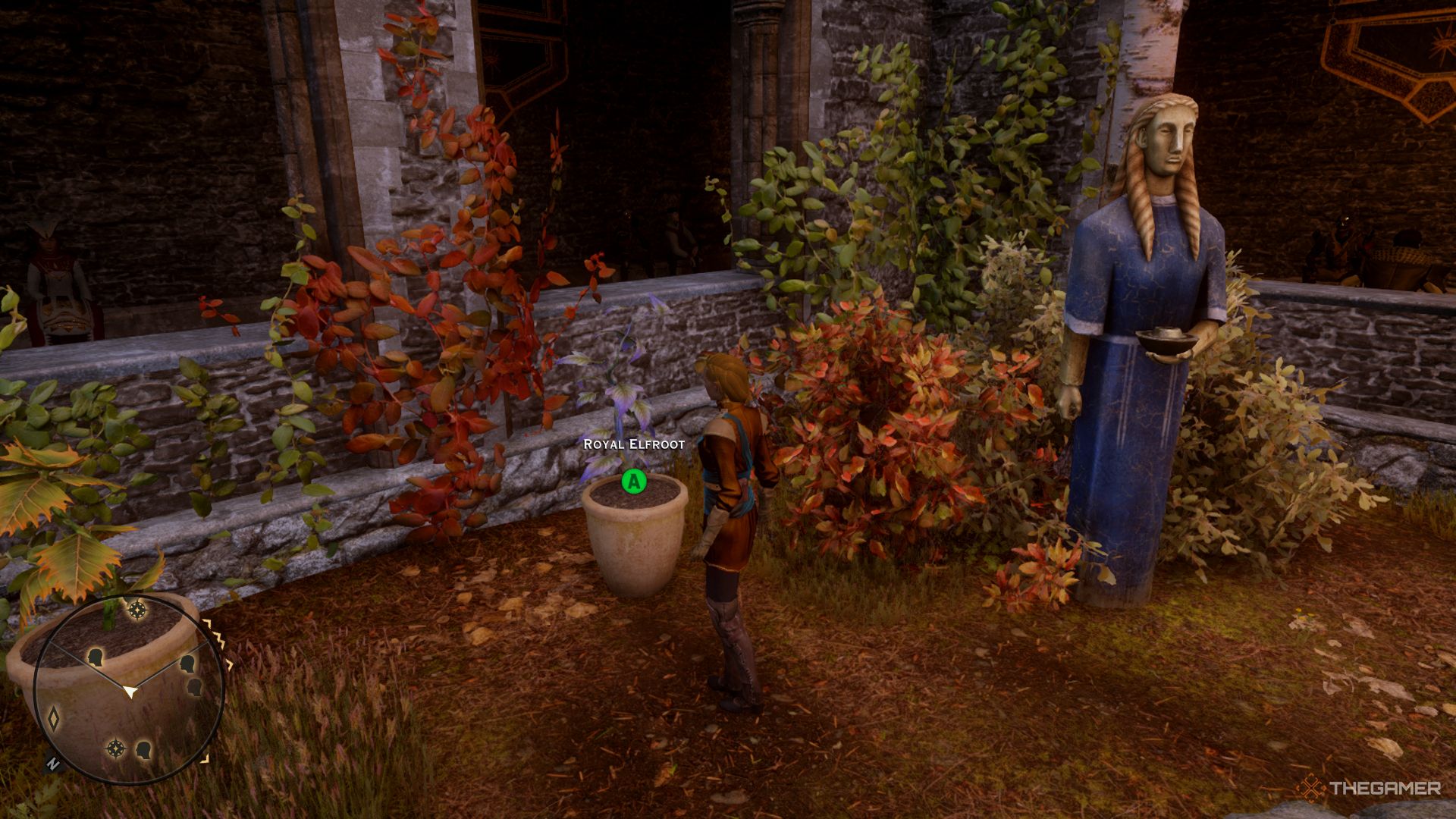 Dragon Age Inquisition screenshot of the Inquisitor about to harvest a Royal Elfroot.