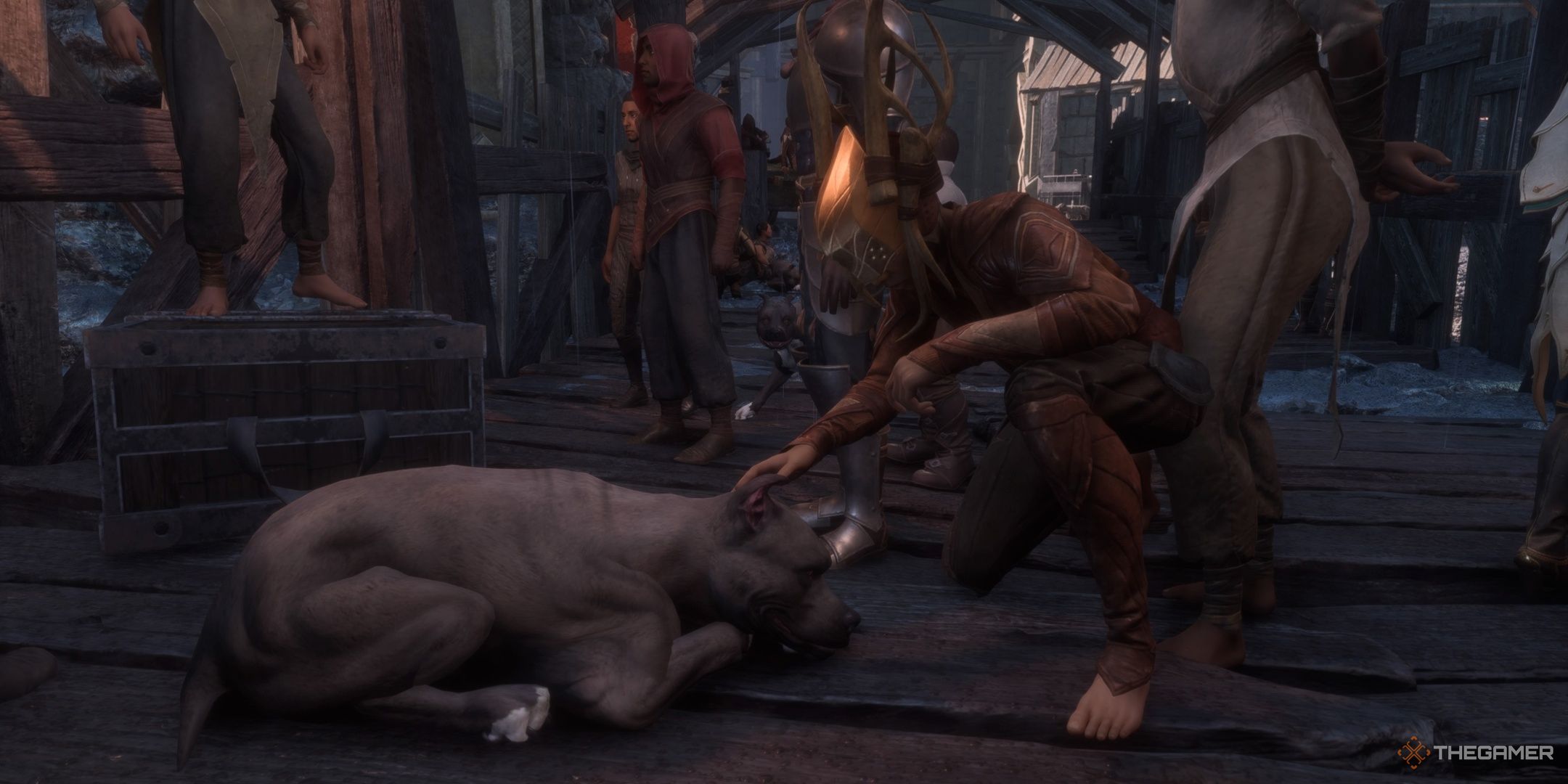 Rook petting a dog in Minrathous in Dragon Age The Veilguard.