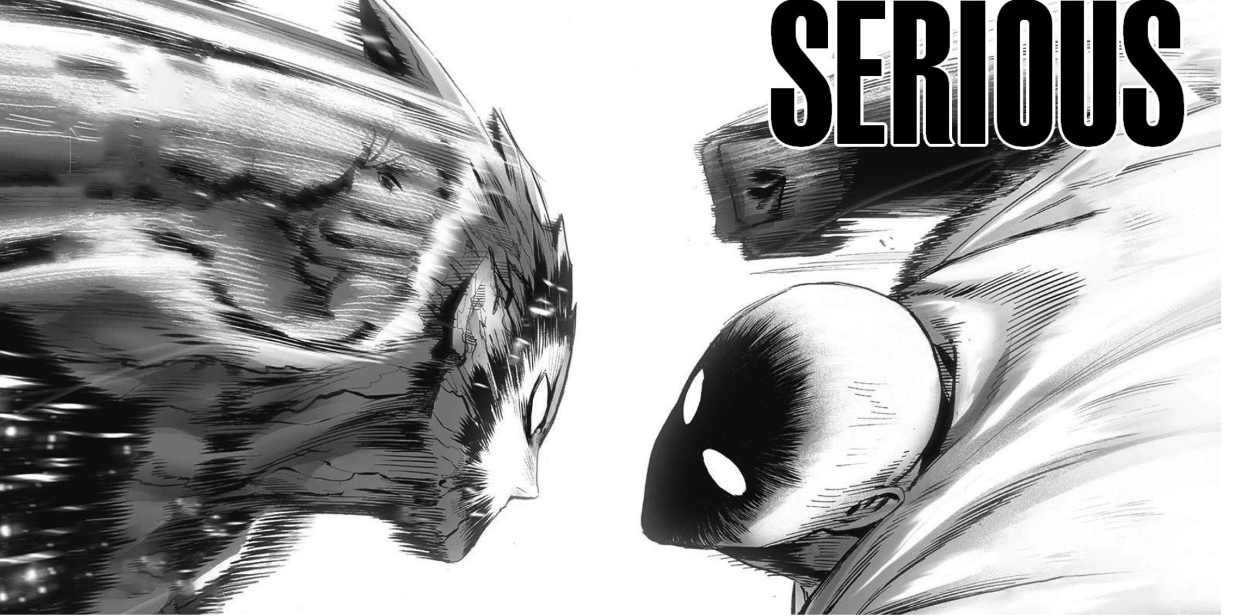 cosmic garou v. saitama