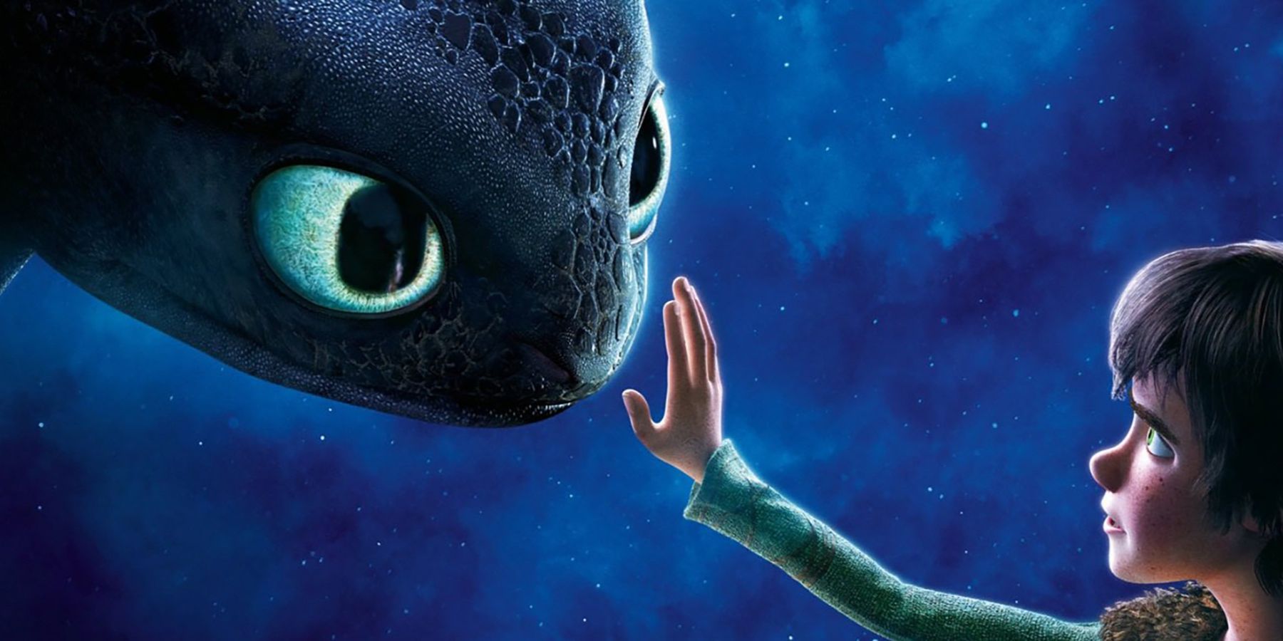 Toothless and Hiccup How To Train Your Dragon