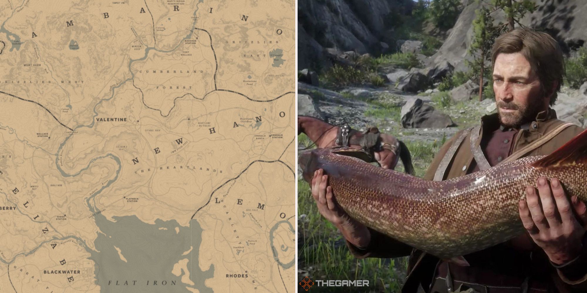 A split image. On the left, a section of the map of Red Dead Redemption 2. On the right, Arthur Morgan holding a large and freshly caught fish.