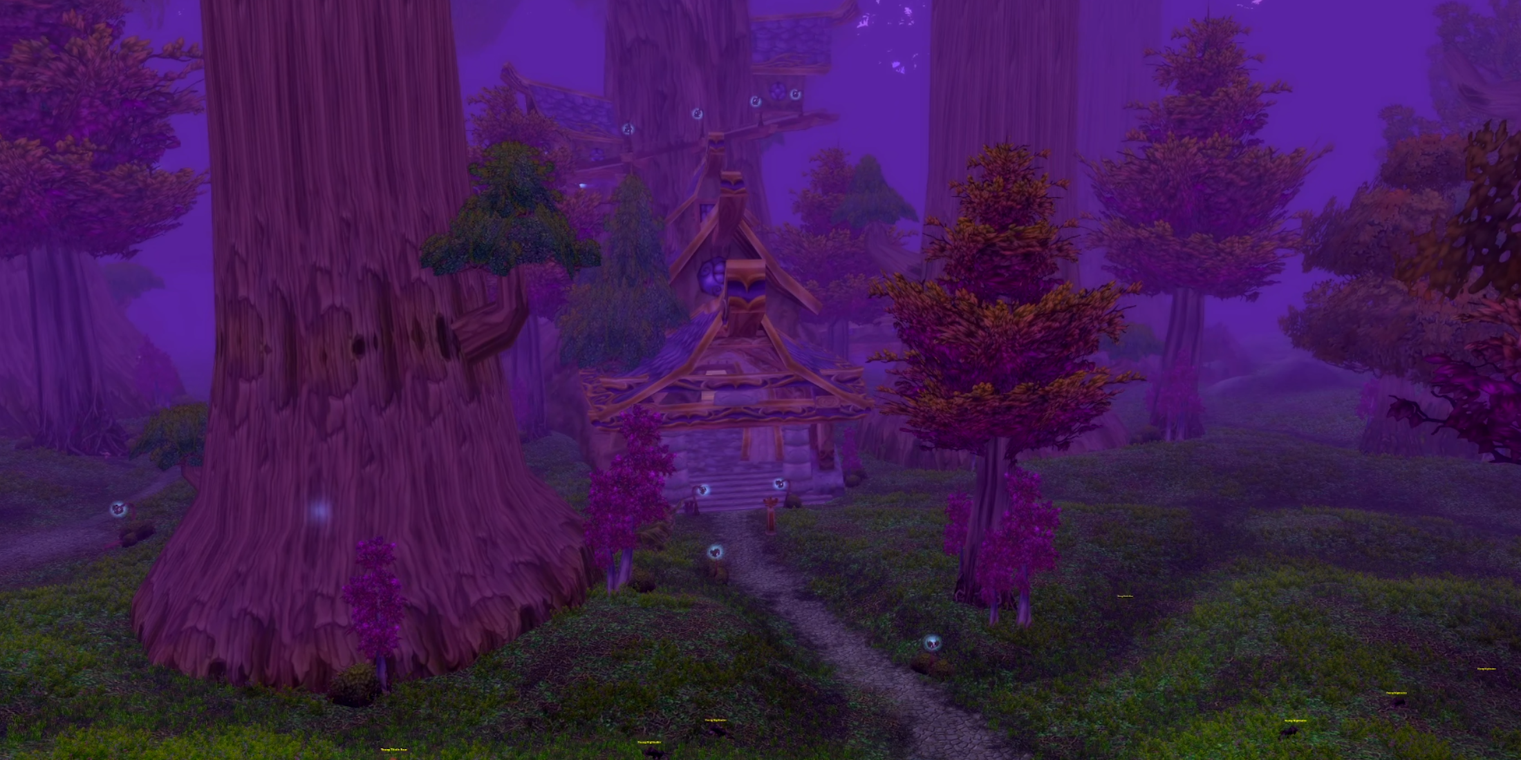 WoW Classic Best Alliance Starter Zones Teldrassil