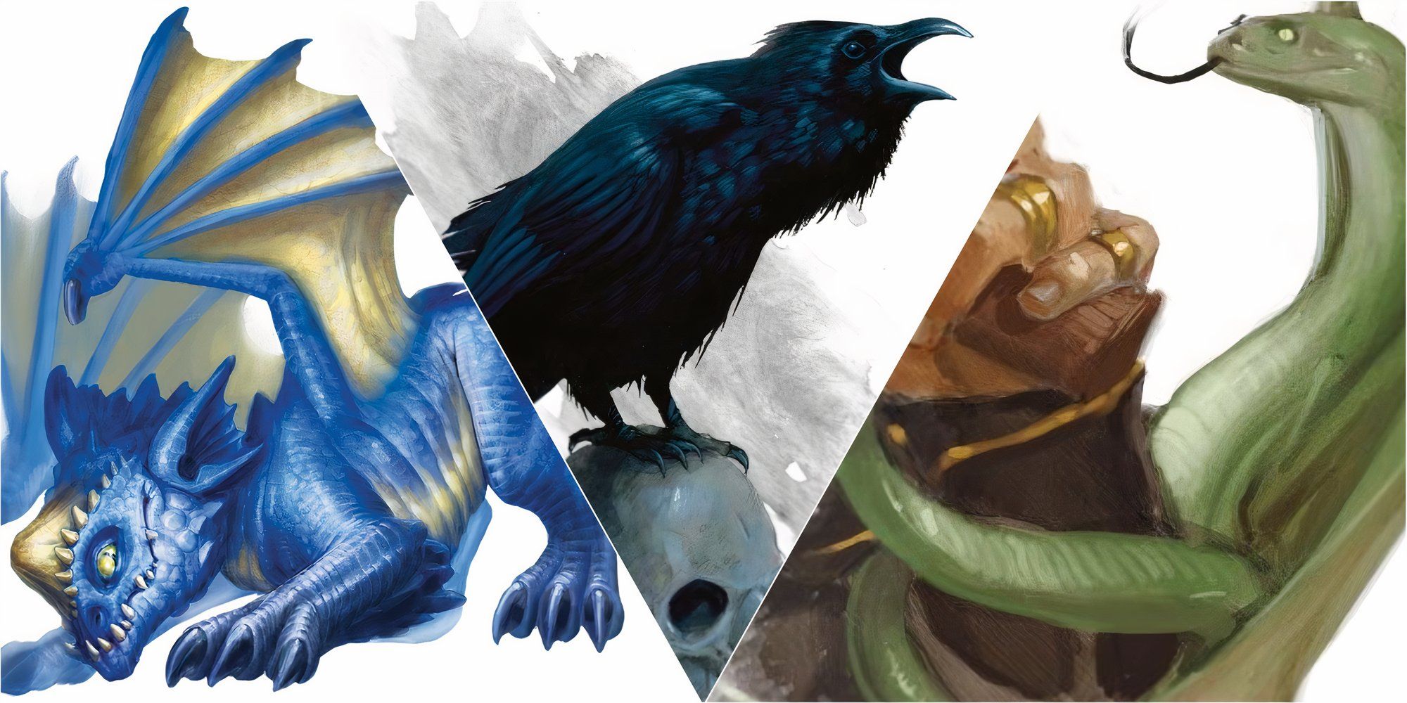 Best Beasts to Tame Dungeons and Dragons