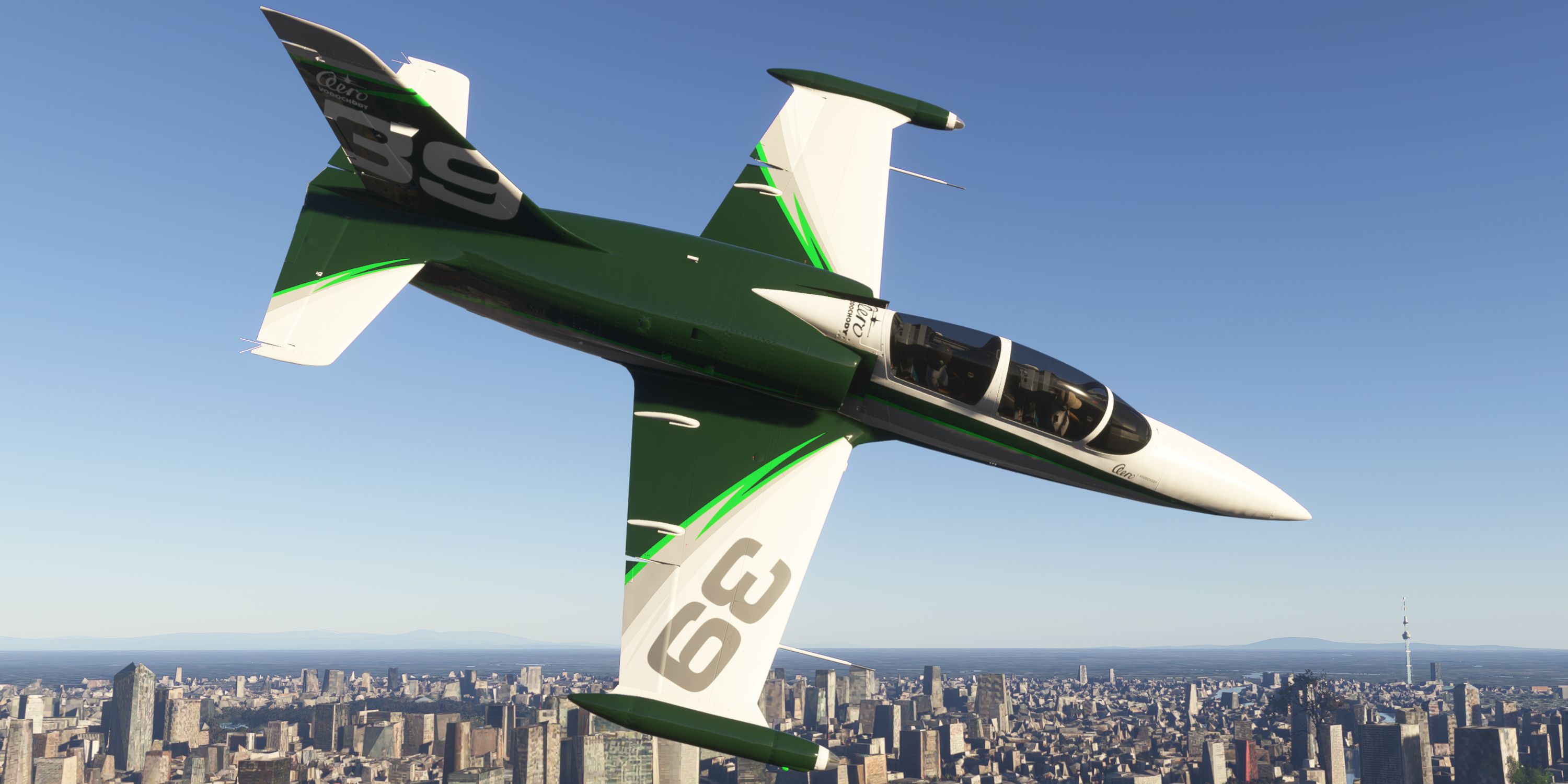 microsoft-flight-simulator-2024-l39-albatros