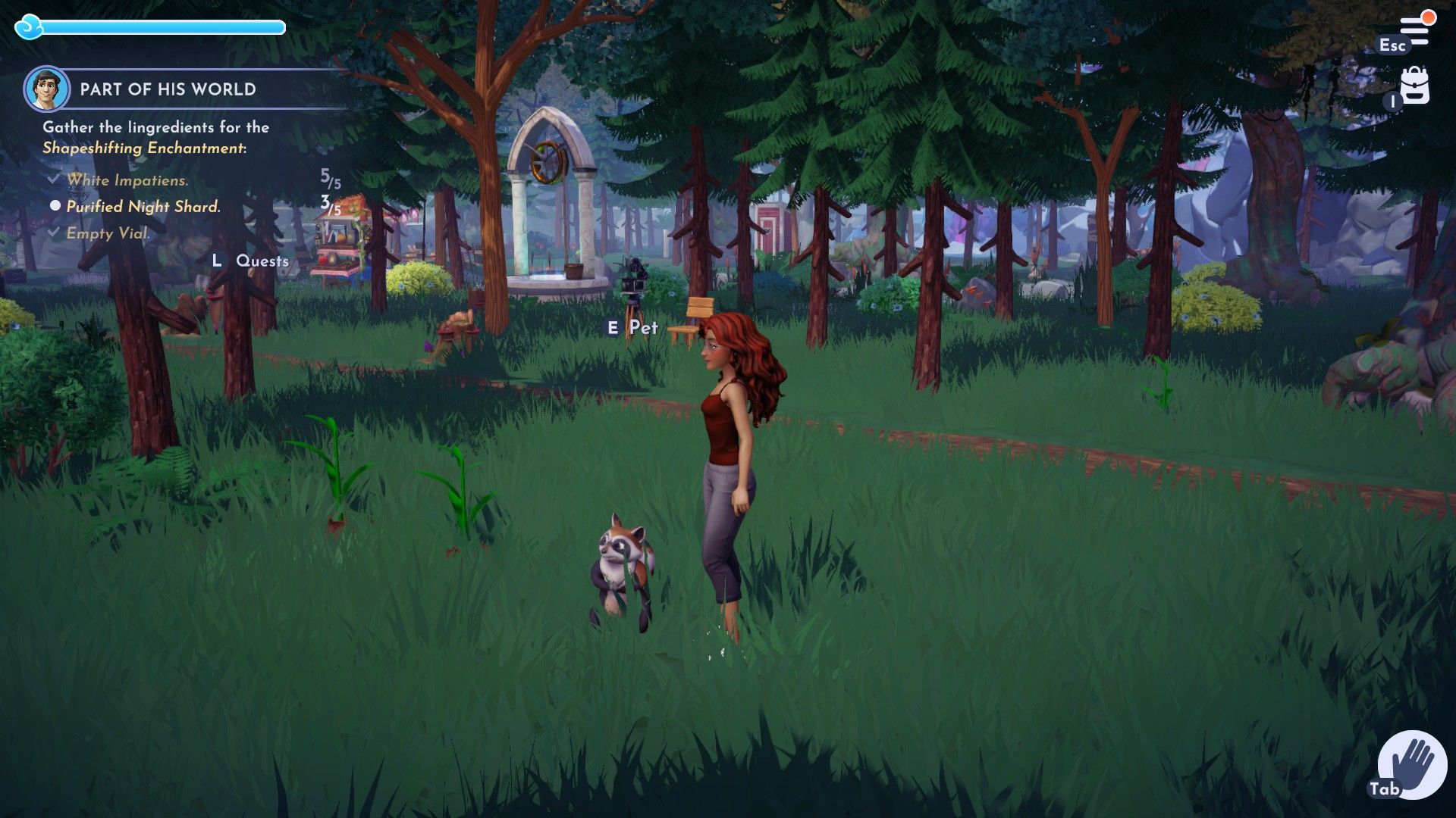 Disney Dreamlight Valley Player With Pet Raccoon