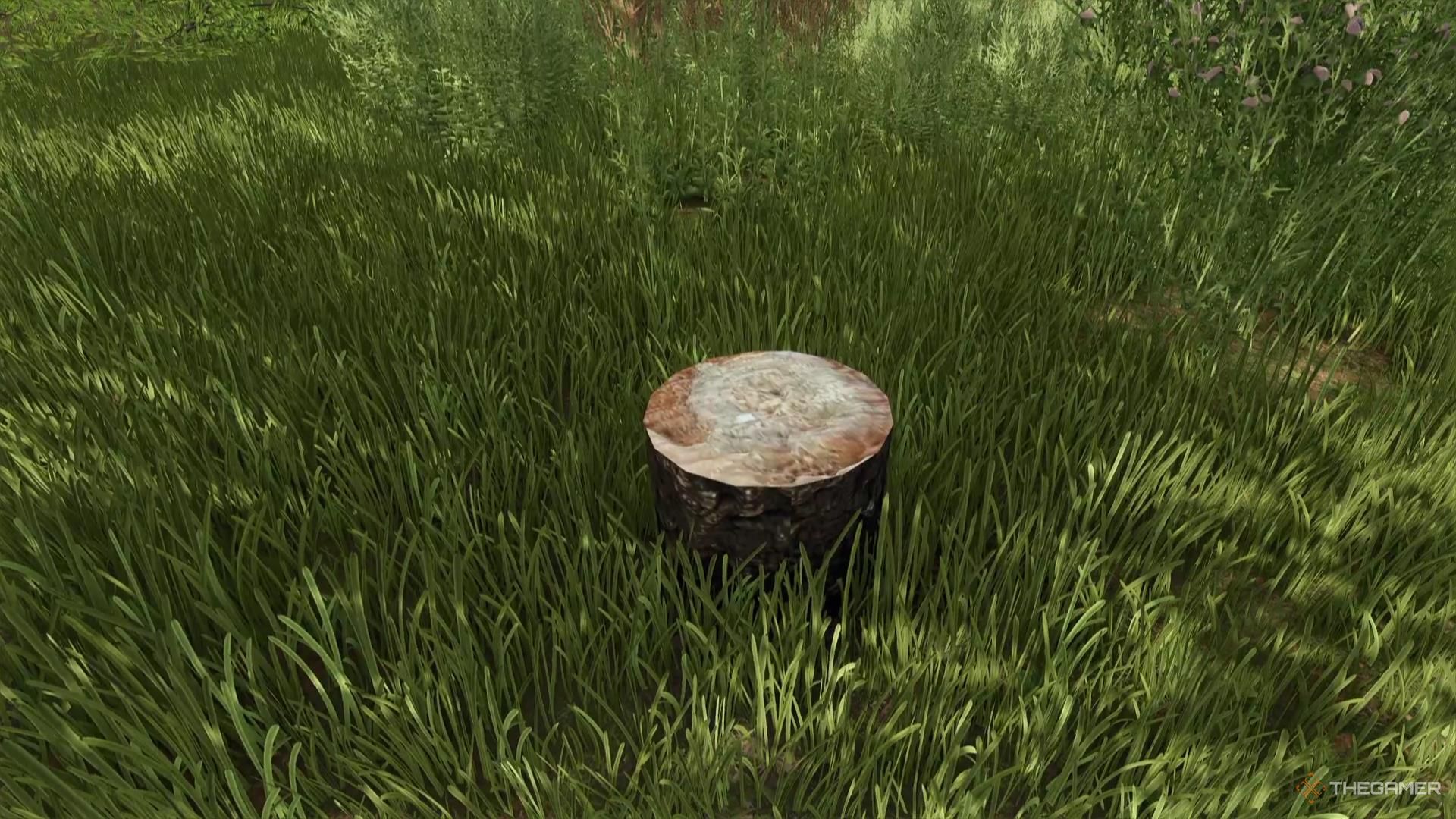 A tree stump in the ground in Farming Simulator 25.