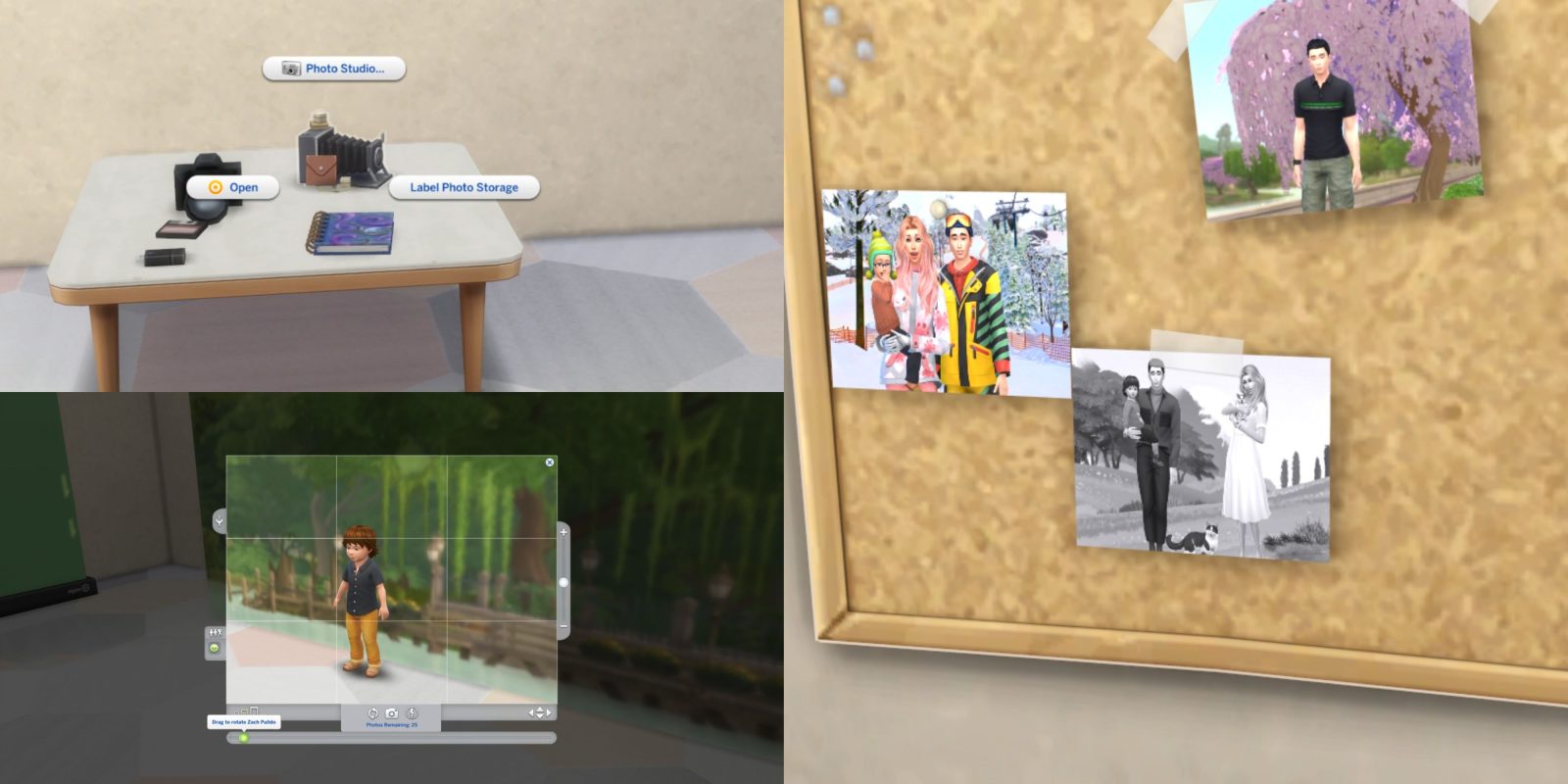 Best Sims 4 Mods For Taking In-Game Photos