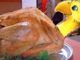 Which Video Game Birds Make The Best Thanksgiving Food?