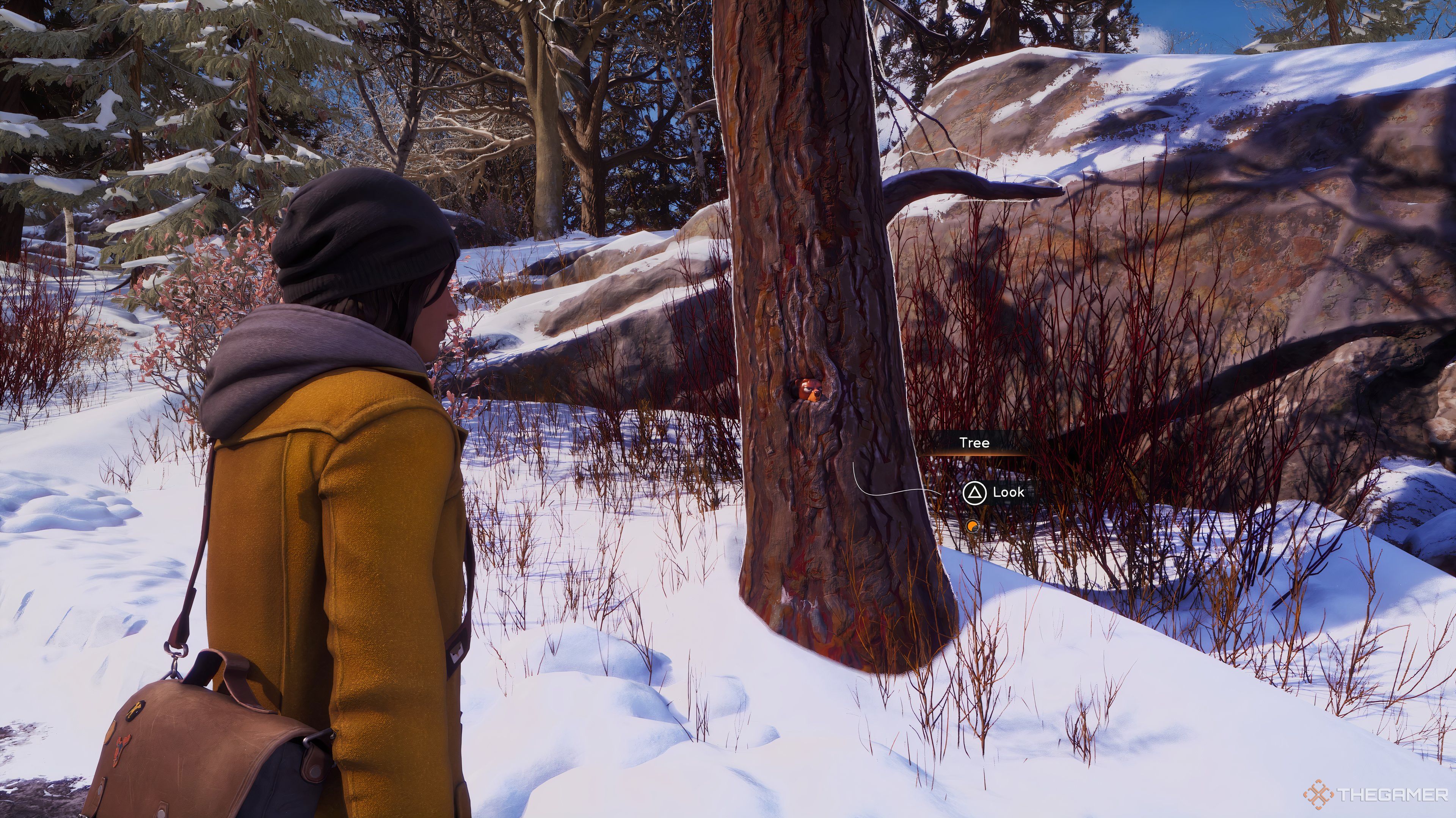 Finding The Mug Tree On The Overlook Path In Life Is Strange: Double Exposure.