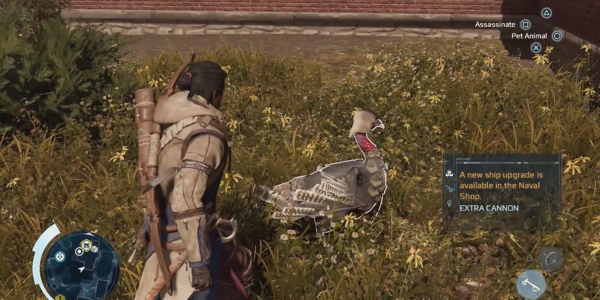 Player staring at a turkey with an Assassin hood