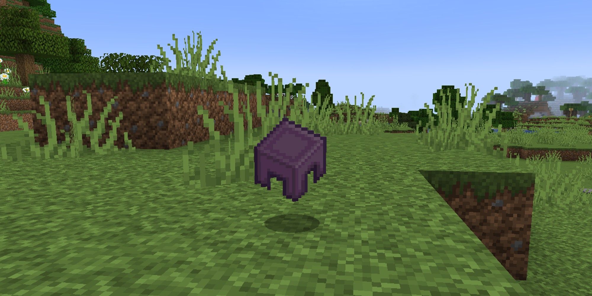 shulker shell item thrown on ground