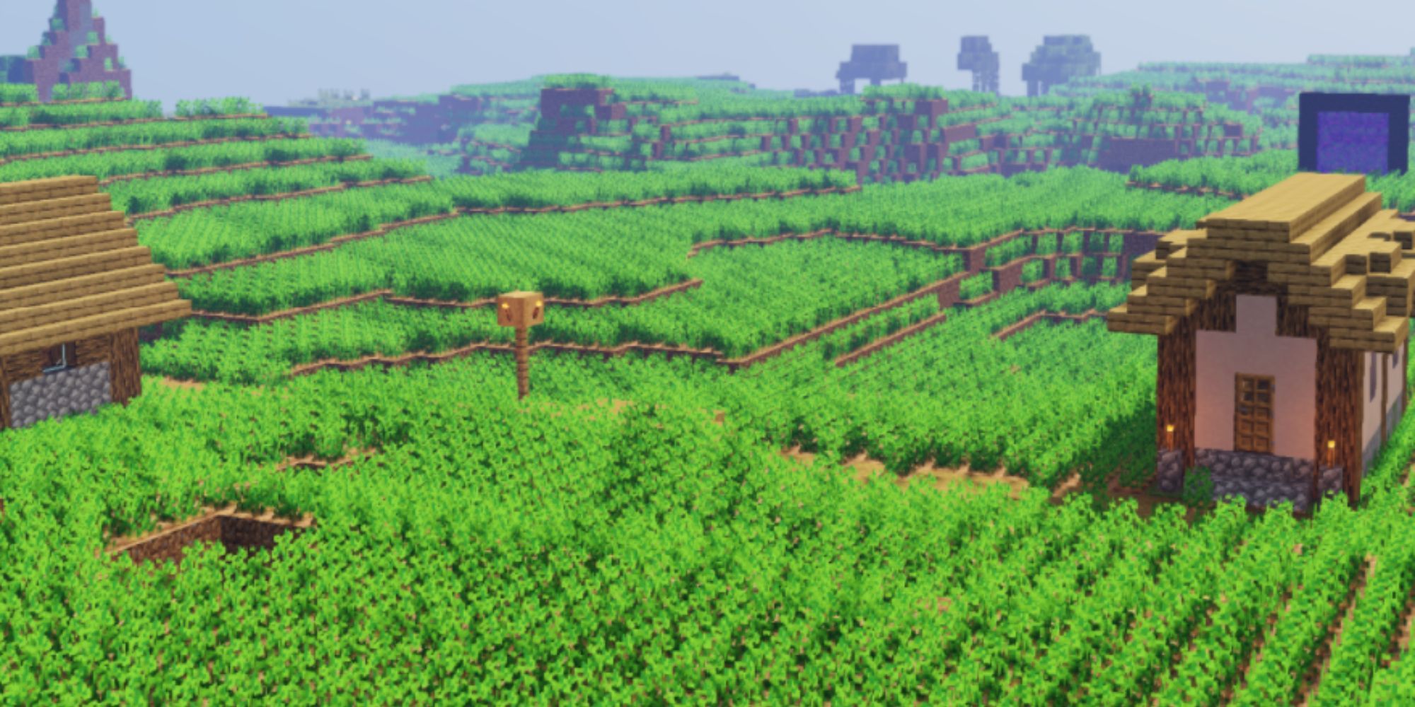 Minecraft Fields Full Of Potatoes Growing