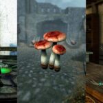 Best Potions To Level Alchemy Fast In Skyrim