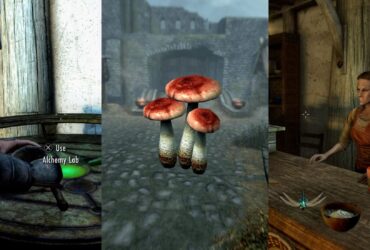 Best Potions To Level Alchemy Fast In Skyrim