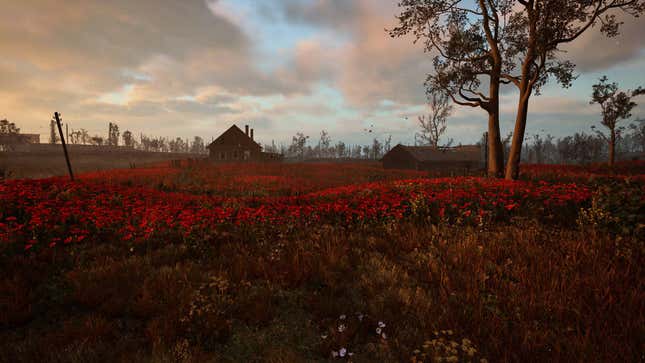 A screenshot shows a scenic view of the Poppy Field anomaly in Stalker 2: Heart of Chornobyl.