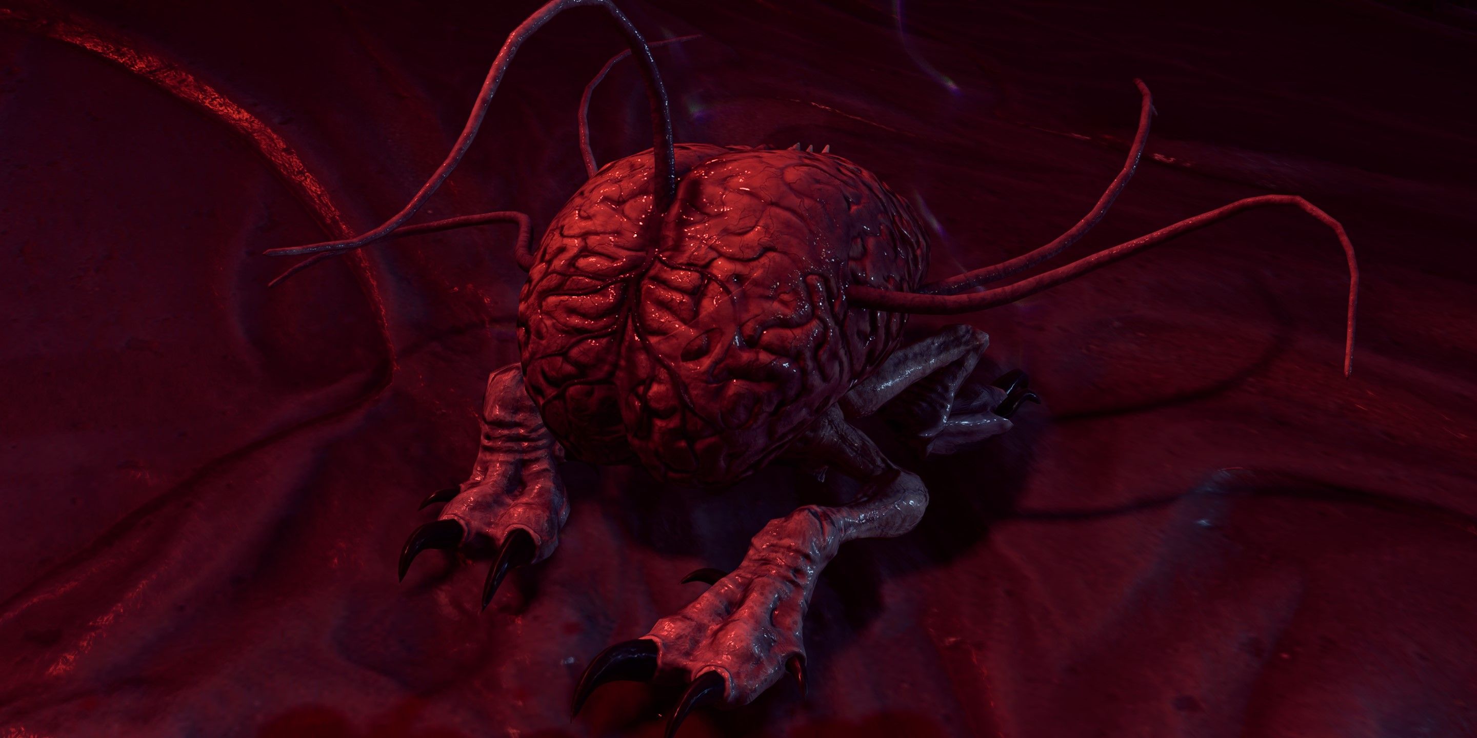 An intellect devourer - a brain with legs