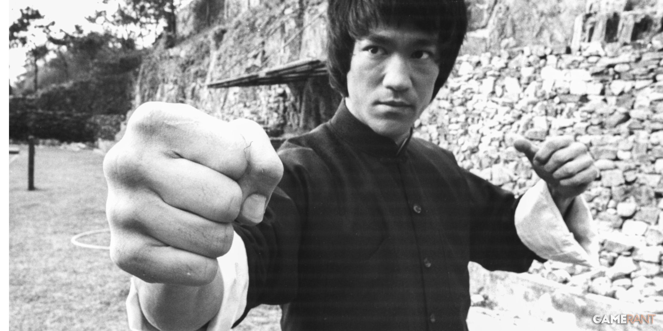 Bruce Lee